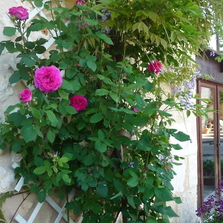 Bed and Breakfast Les Tuileries Ponteyraud