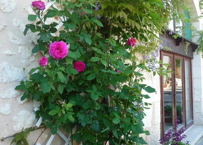 Bed & Breakfast Les Tuileries Ponteyraud